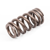 500° High Temperature Pressure Spring