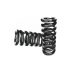 Extension Spring With Swivel Shackle